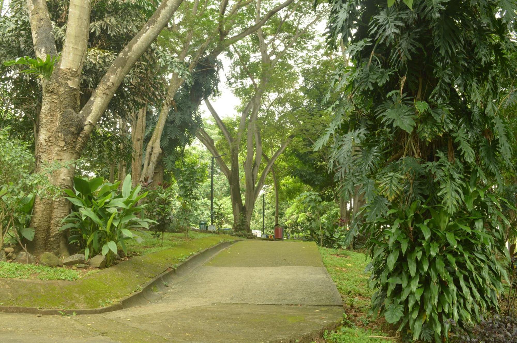 Totumas Lodge Panama City Ngoại thất bức ảnh